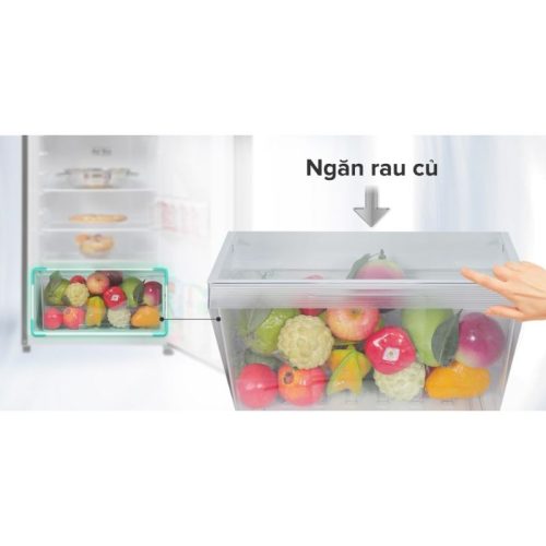Chi tiết Tủ lạnh Toshiba Inverter GR-RT325WE-PMV(06)-MG